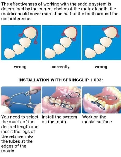 ๐๐ข๐๐๐ฅ๐๐ง ๐ ๐๐ง๐ฅ๐๐๐ โ Image 4